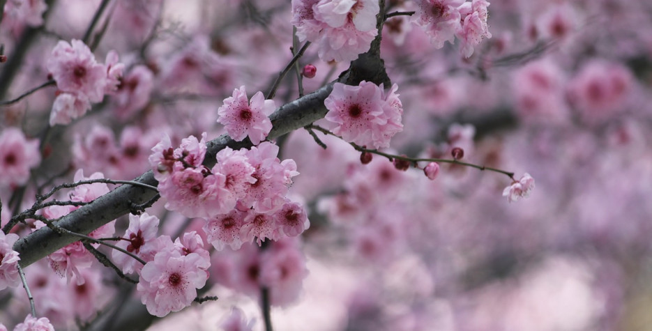 Vernal Equinox Day around the world in 2026